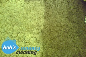 Carpet Cleaners in London